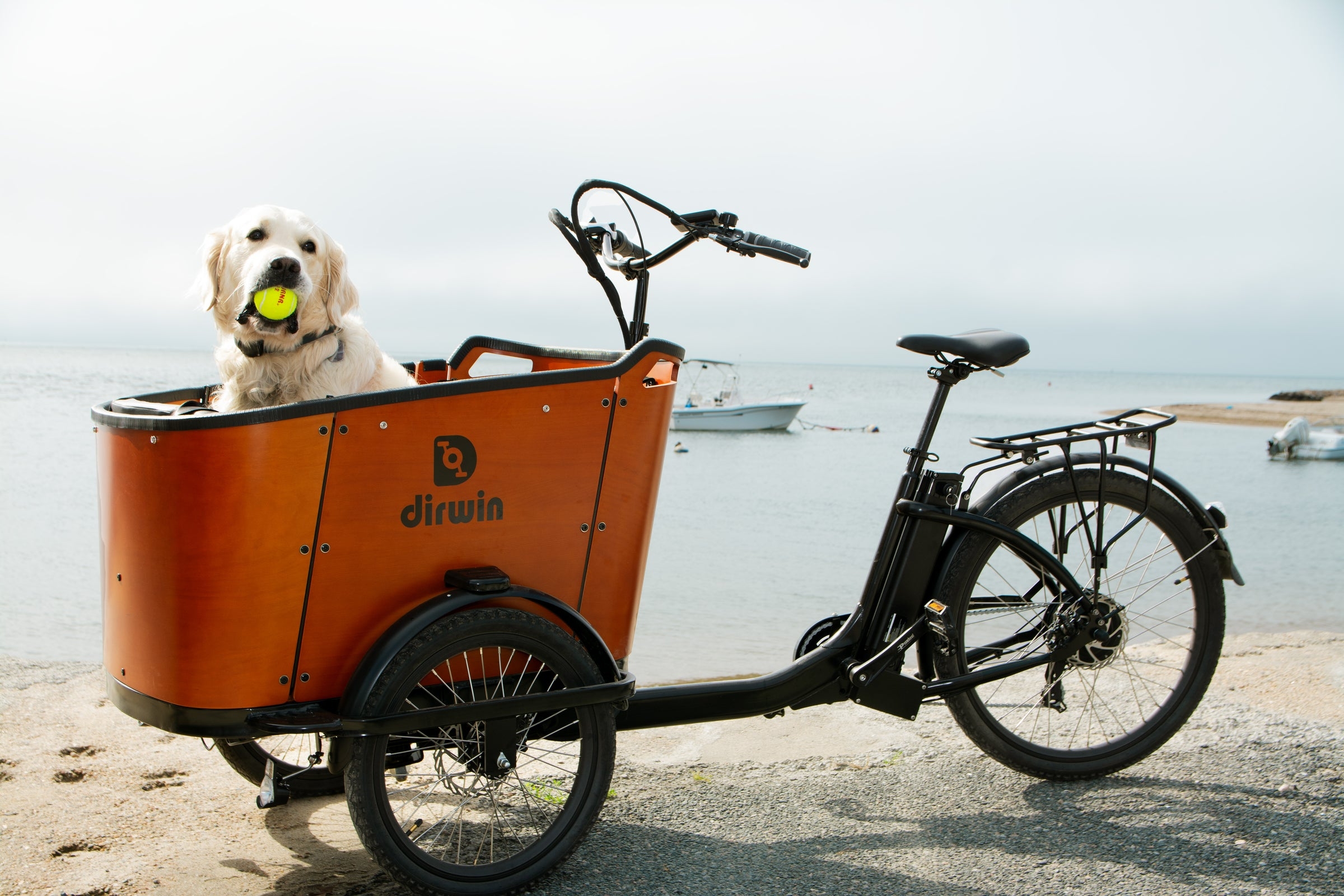 Dirwin Bike’s Commitment to Quality and Safety